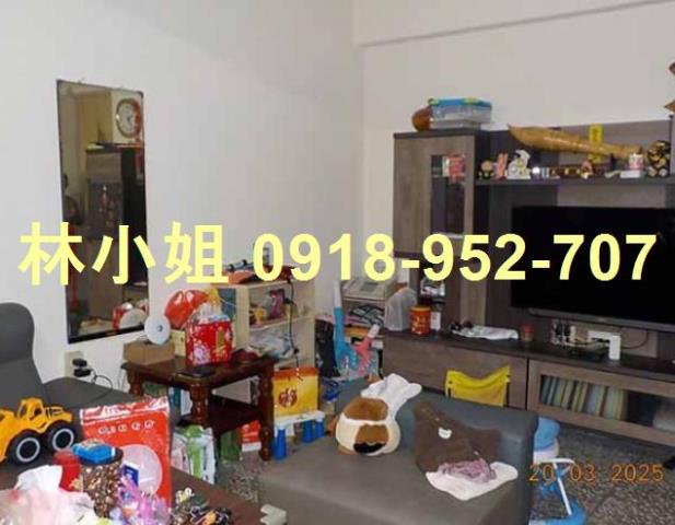 南投市透天拍賣-4