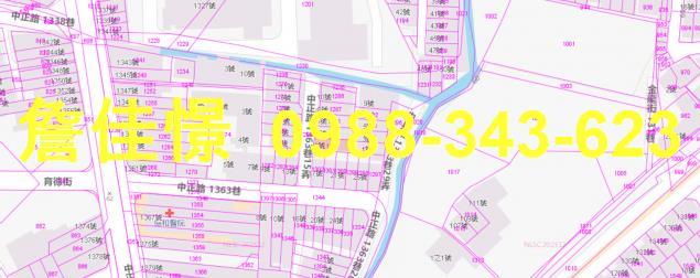 苗栗法拍透天-2