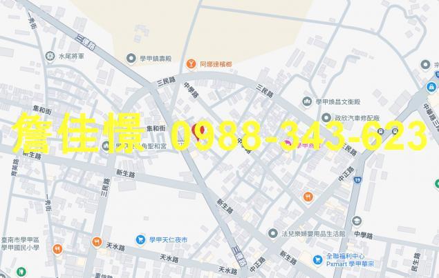 台南學甲法拍透天-1