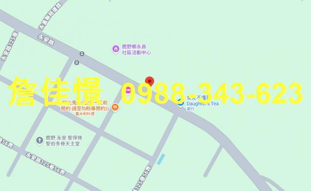 鹿野拍賣透天-4