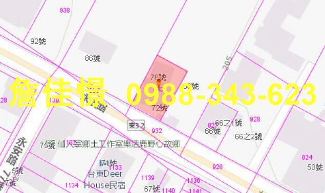 鹿野拍賣透天-5