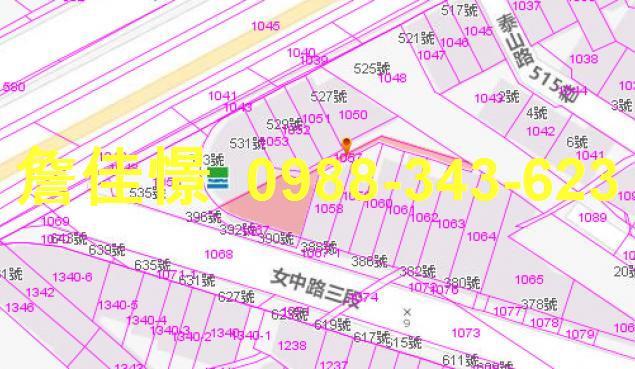 宜蘭市法拍透天-4